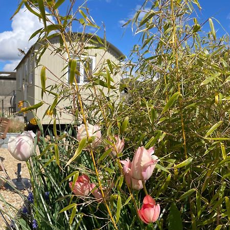 The Shepherd'S Hut Mixbury Esterno foto